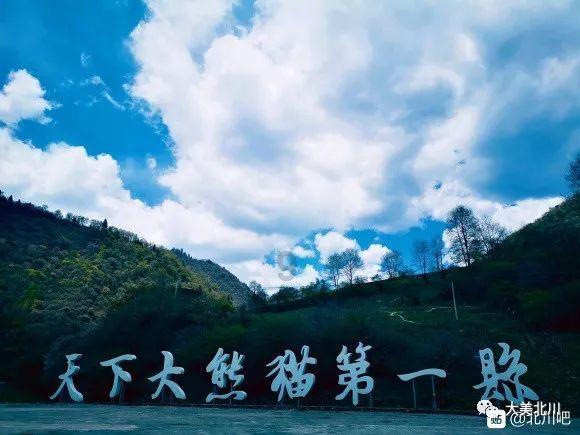 深度学习饺子的汤汁怎么调星球 | 构建AI未来
